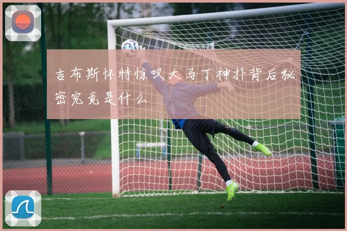 吉布斯怀特惊叹大马丁神扑背后秘密究竟是什么